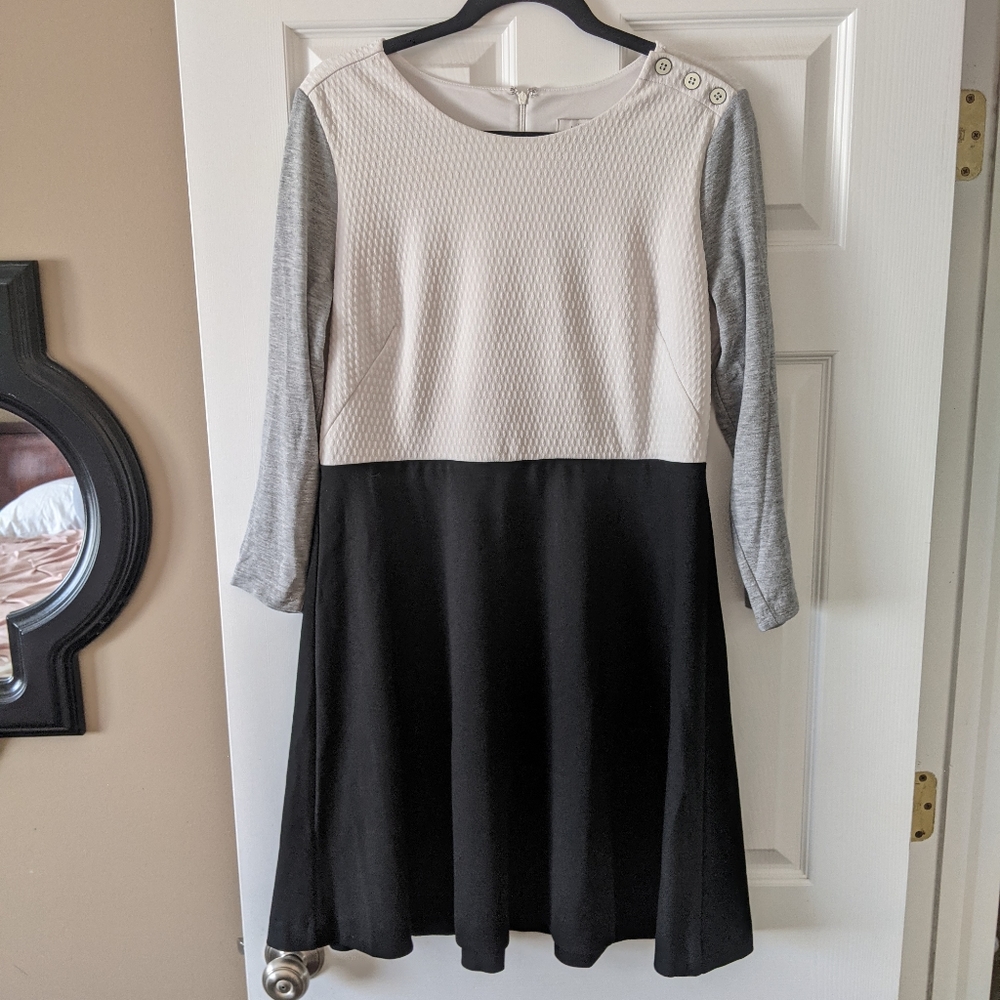 Black White and Grey Loft Fit and Flare Dress